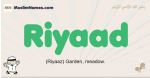 Riyaad muslim boys name and meaning, islamic boys name Riyaad