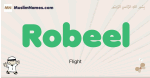 Robeel muslim boys name and meaning, islamic boys name Robeel