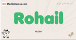 Rohail muslim boys name and meaning, islamic boys name Rohail