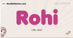 Rohi muslim girls name and meaning, islamic girls name Rohi