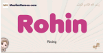 Rohin muslim girls name and meaning, islamic girls name Rohin