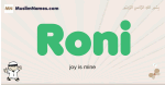 Roni muslim boys name and meaning, islamic boys name Roni