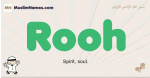 Rooh muslim boys name and meaning, islamic boys name Rooh