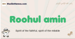 Roohul-amin muslim boys name and meaning, islamic boys name Roohul-amin