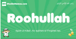 Roohullah arabic boys name and meaning, quranic boys name Roohullah