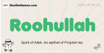 Roohullah muslim boys name and meaning, islamic boys name Roohullah