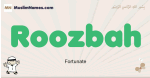 Roozbah muslim boys name and meaning, islamic boys name Roozbah