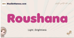 Roushana muslim girls name and meaning, islamic girls name Roushana