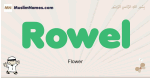 Rowel muslim boys name and meaning, islamic boys name Rowel