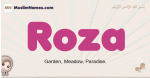 Roza muslim girls name and meaning, islamic girls name Roza