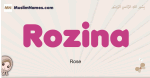 Rozina muslim girls name and meaning, islamic girls name Rozina