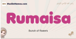 Rumaisa muslim girls name and meaning, islamic girls name Rumaisa