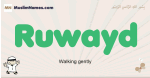 Ruwayd muslim boys name and meaning, islamic boys name Ruwayd