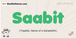 Saabit muslim boys name and meaning, islamic boys name Saabit