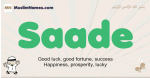Saade muslim boys name and meaning, islamic boys name Saade