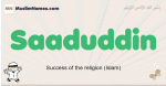 Saaduddin muslim boys name and meaning, islamic boys name Saaduddin