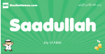 Saadullah arabic boys name and meaning, quranic boys name Saadullah