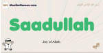 Saadullah muslim boys name and meaning, islamic boys name Saadullah