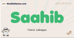 Saahib muslim boys name and meaning, islamic boys name Saahib