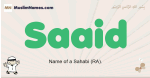 Saaid muslim boys name and meaning, islamic boys name Saaid