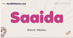 Saaida muslim girls name and meaning, islamic girls name Saaida