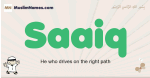 Saaiq muslim boys name and meaning, islamic boys name Saaiq
