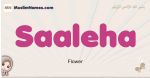 Saaleha muslim girls name and meaning, islamic girls name Saaleha