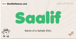 Saalif muslim boys name and meaning, islamic boys name Saalif