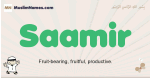 Saamir muslim boys name and meaning, islamic boys name Saamir
