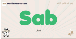 Sab muslim boys name and meaning, islamic boys name Sab