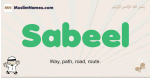 Sabeel muslim boys name and meaning, islamic boys name Sabeel