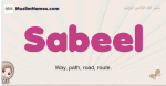 Sabeel muslim girls name and meaning, islamic girls name Sabeel