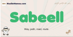 Sabeell muslim boys name and meaning, islamic boys name Sabeell