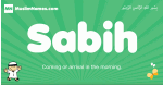 Sabih arabic boys name and meaning, quranic boys name Sabih
