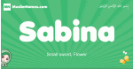 Sabina arabic girl name and meaning, quranic girls name Sabina
