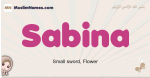 Sabina muslim girls name and meaning, islamic girls name Sabina