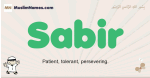 Sabir muslim boys name and meaning, islamic boys name Sabir