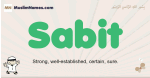 Sabit muslim boys name and meaning, islamic boys name Sabit