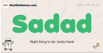 Sadad muslim boys name and meaning, islamic boys name Sadad