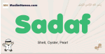 Sadaf muslim boys name and meaning, islamic boys name Sadaf