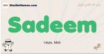 Sadeem muslim boys name and meaning, islamic boys name Sadeem