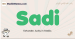 Sadi muslim boys name and meaning, islamic boys name Sadi