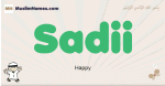 Sadii muslim boys name and meaning, islamic boys name Sadii