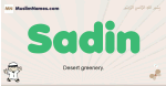 Sadin muslim boys name and meaning, islamic boys name Sadin