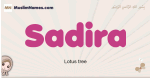 Sadira muslim girls name and meaning, islamic girls name Sadira