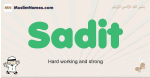 Sadit muslim boys name and meaning, islamic boys name Sadit