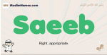 Saeeb muslim boys name and meaning, islamic boys name Saeeb