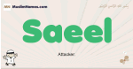 Saeel muslim boys name and meaning, islamic boys name Saeel