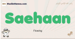 Saehaan muslim boys name and meaning, islamic boys name Saehaan