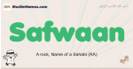 Safwaan muslim boys name and meaning, islamic boys name Safwaan